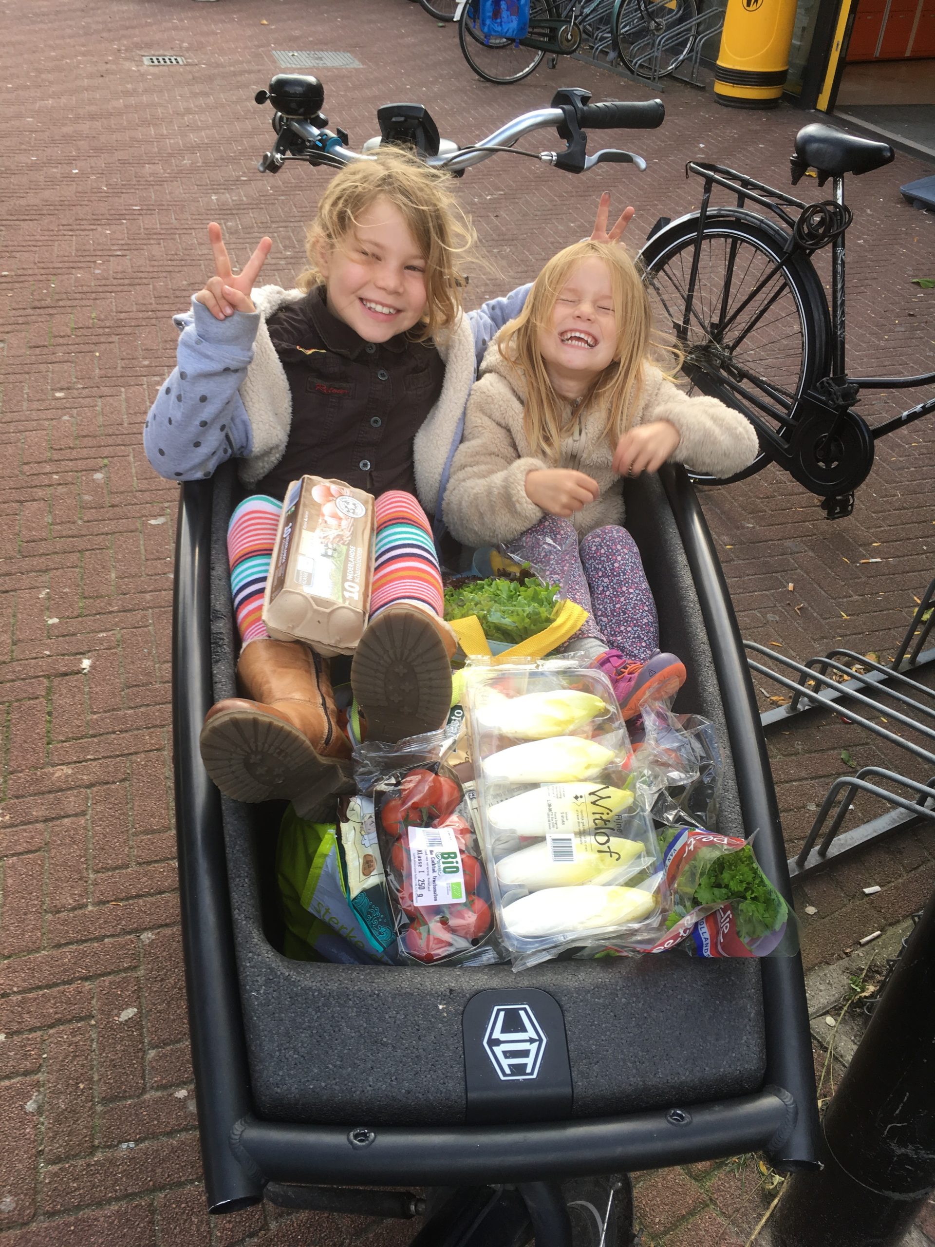 Kids and groceries in ECABIKE cargo ebike