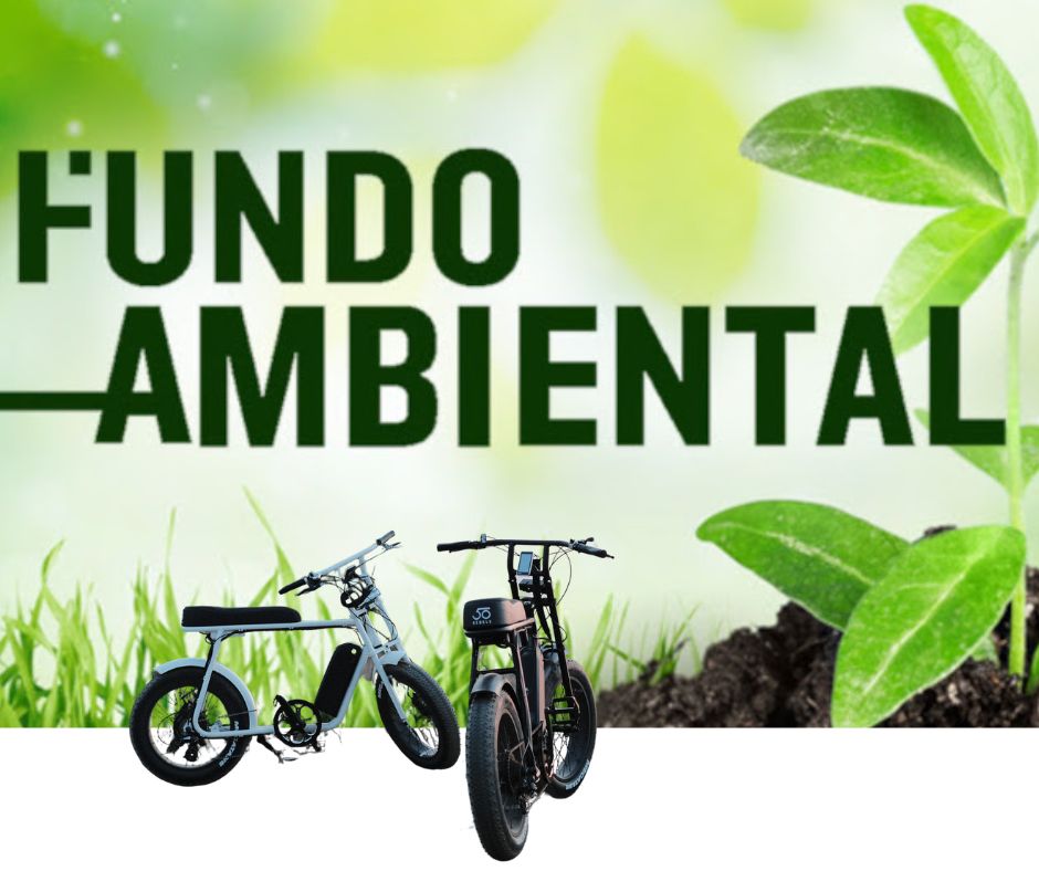 Fundo Ambiental 2024 subsidy